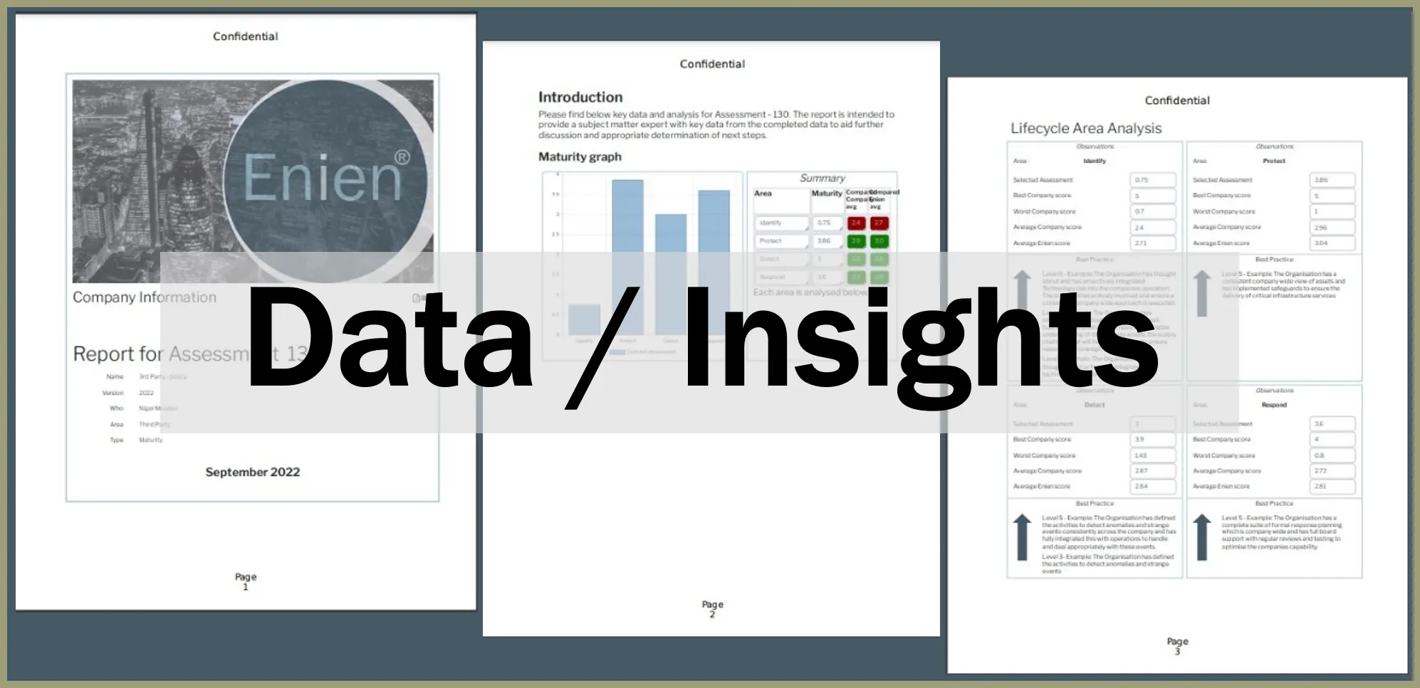 Enien data insights dashboard with charts and performance metrics